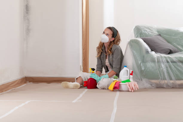 Reliable Mold Remediation contractor in Burke, VA by WQB Mold Removal